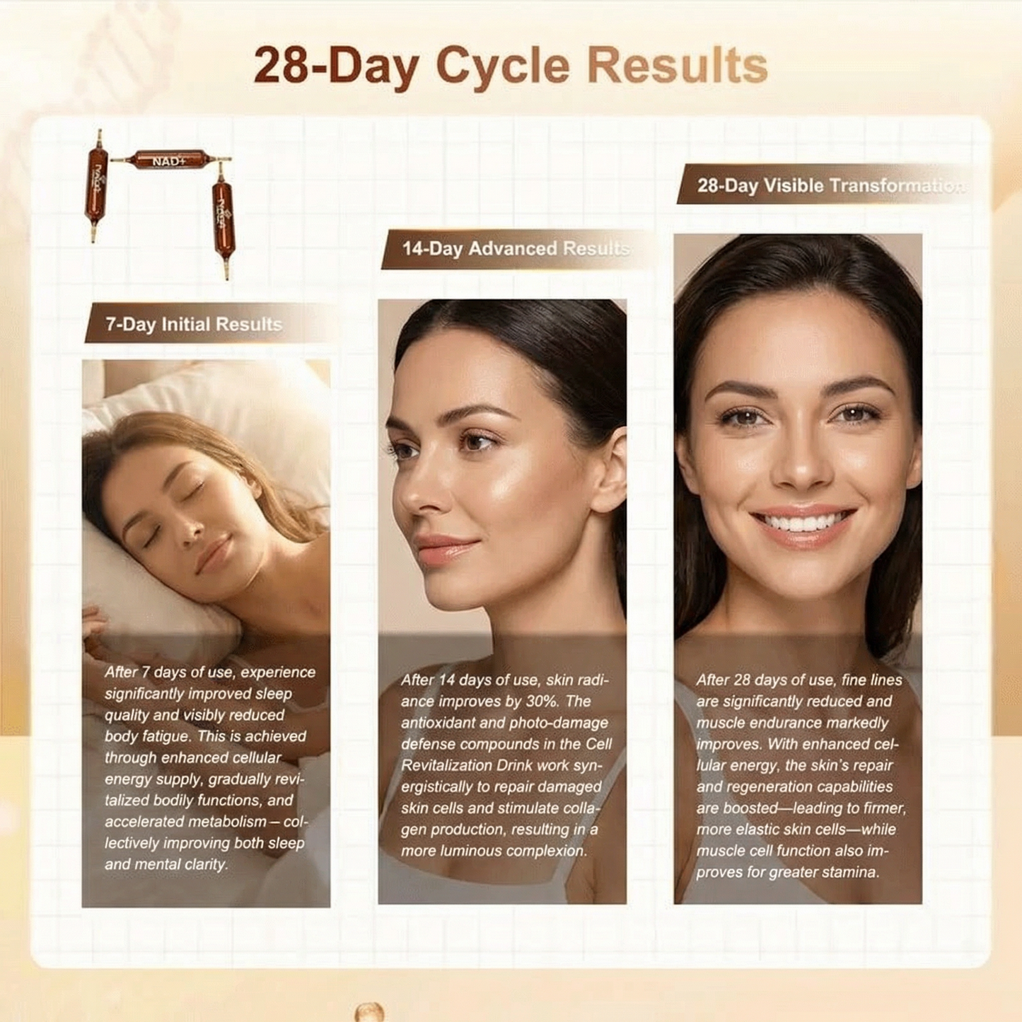 Longevity Lab - Perseek Cell Rebirth